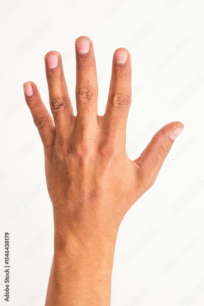 Photo of a man hand isolated on a white background Photo of a man hand isolated on a white background