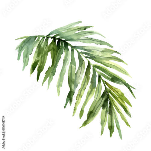 A watercolor drawing of a palm leaf swaying in the summer breeze, isolated on a white background. Palm leaf summer breeze vector.
