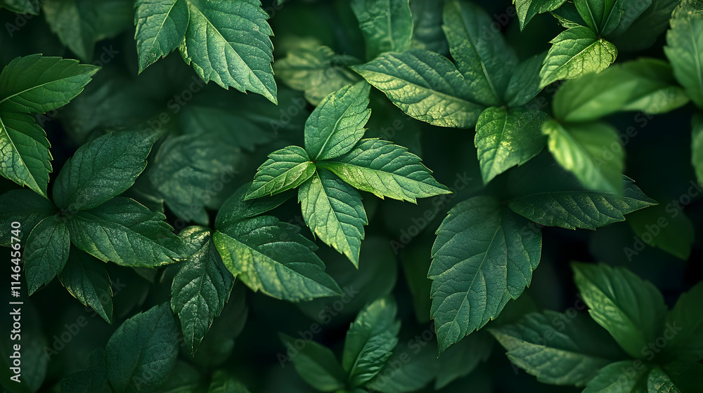 Lush Green Leaf Background Image Lush Green Leaf Background Image