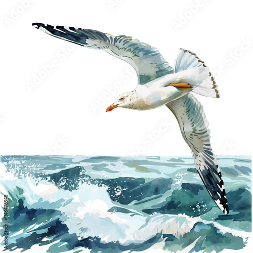 A watercolor vector of a seagull flying over the waves, isolated on a white background. Seagull waves vector.
