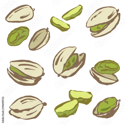 Set of hand draw pistachio , vector with brush strokes. Isolated . Interesting pastel colors