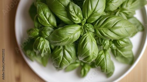 Harvesting fresh basil leaves kitchen counter food photography natural lighting close-up shot culinary inspiration
