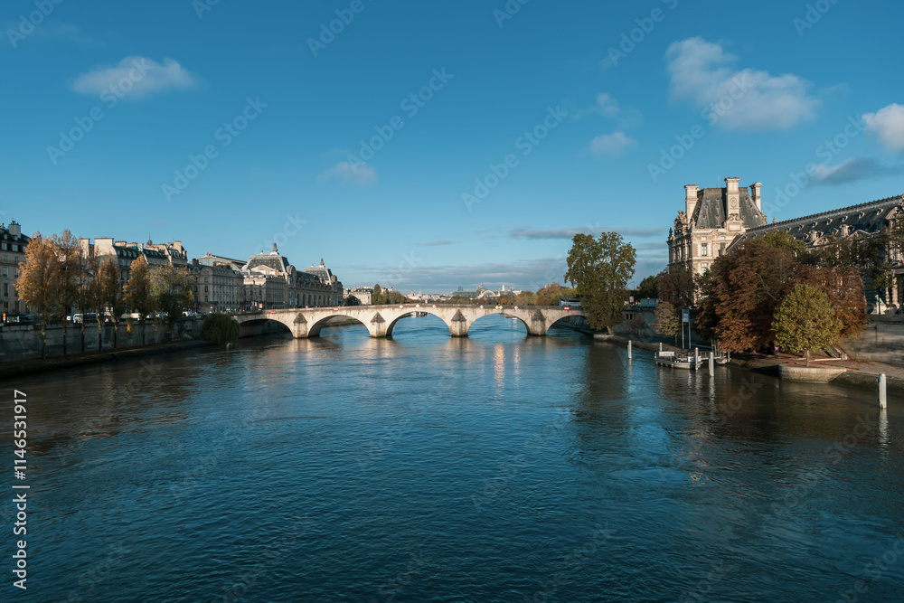 Fototapeta premium A stunning bridge over water with buildings in the background. Paris, France