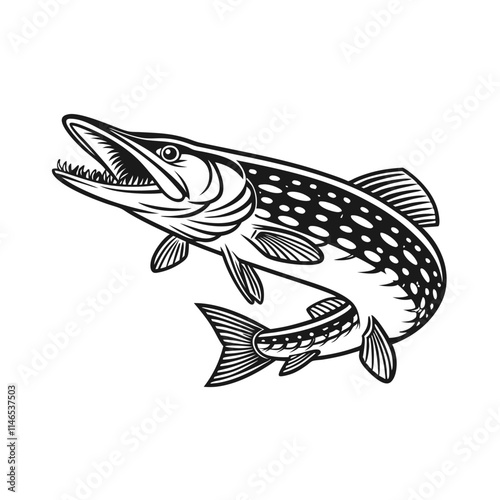 Chain Pickerel Fish Vector Art and Illustration