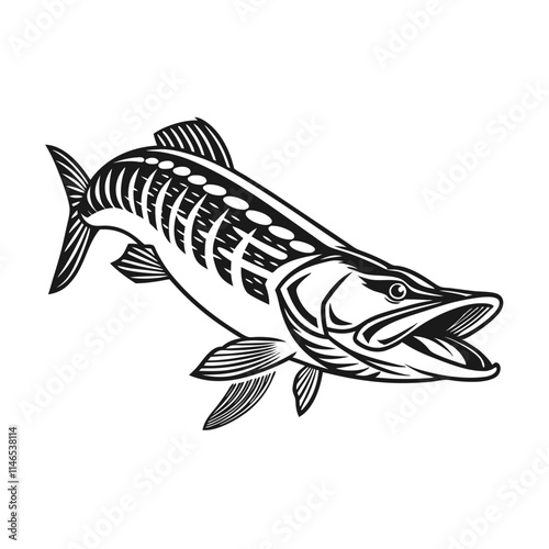 Chain Pickerel Fish Vector Art and Illustration