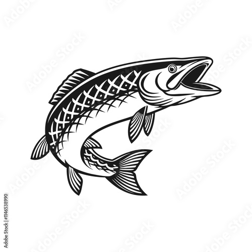 Chain Pickerel Fish Vector Art and Illustration