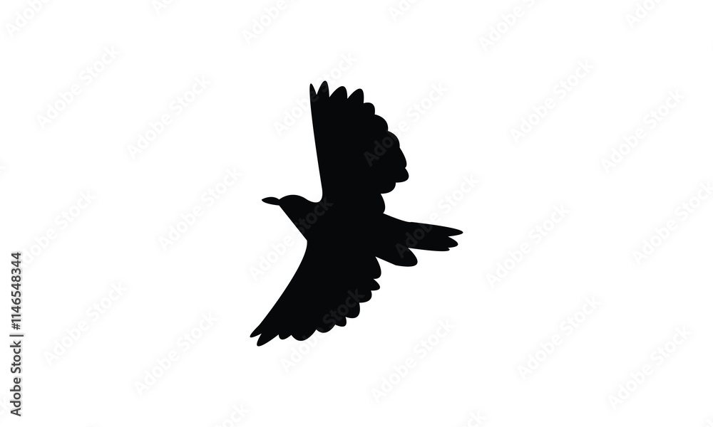 Flying Longclaw Bird Silhouette Design  And Vector Illustration. 