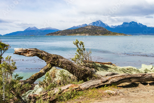 View from the Argentine National Park facing the Beagle Channel. Located in Tierra Del Fuego, just outside Ushuaia, Argentina. Dead tree in the foreground. 
 photo