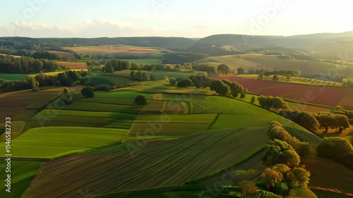 Beautiful rolling hills of farmland at sunset showcasing vibrant green fields and natural beauty