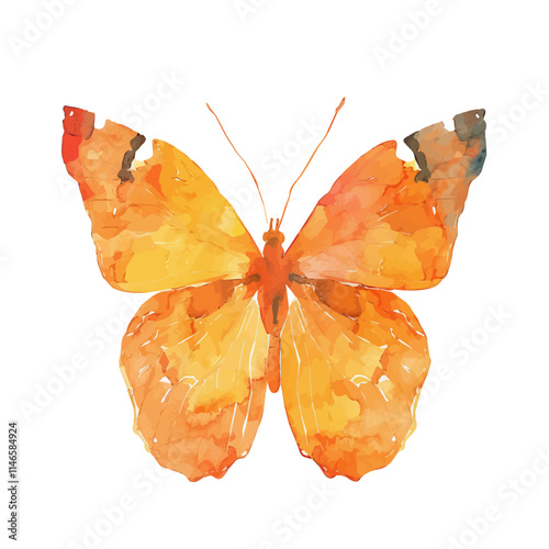 A watercolor drawing of a vibrant orange monarch butterfly, isolated on a white background. Vibrant orange monarch butterfly vector.
