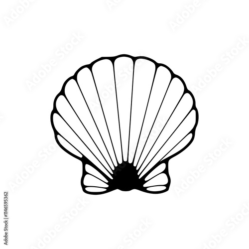 a line art drawing of a shellillustration photo