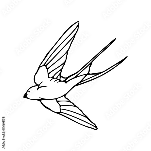 a line art drawing of flying bird in the air illustration