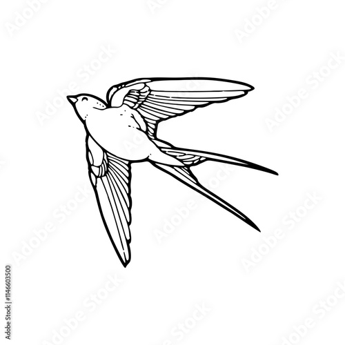 a line art drawing of flying bird in the air illustration