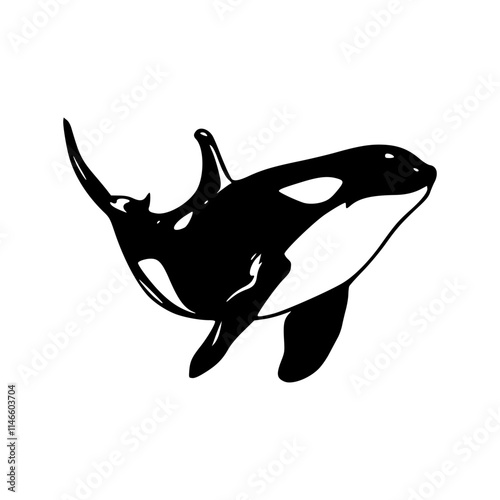 a drawing of a orca vector illustration