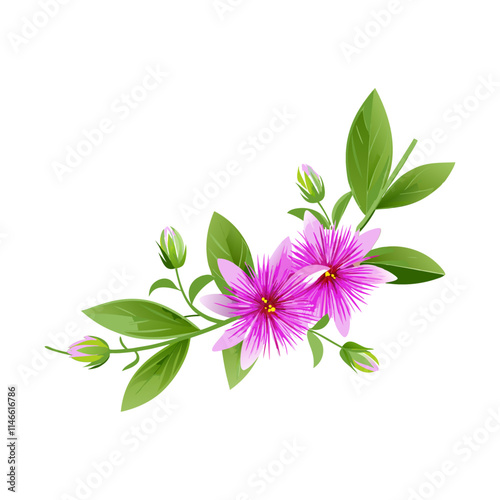 flowers isolated on white background