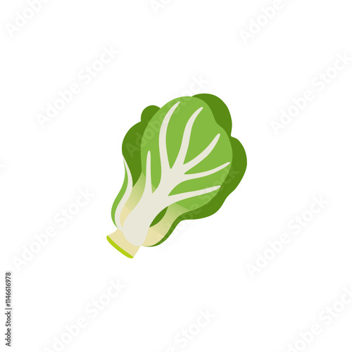 Chinese Cabbage