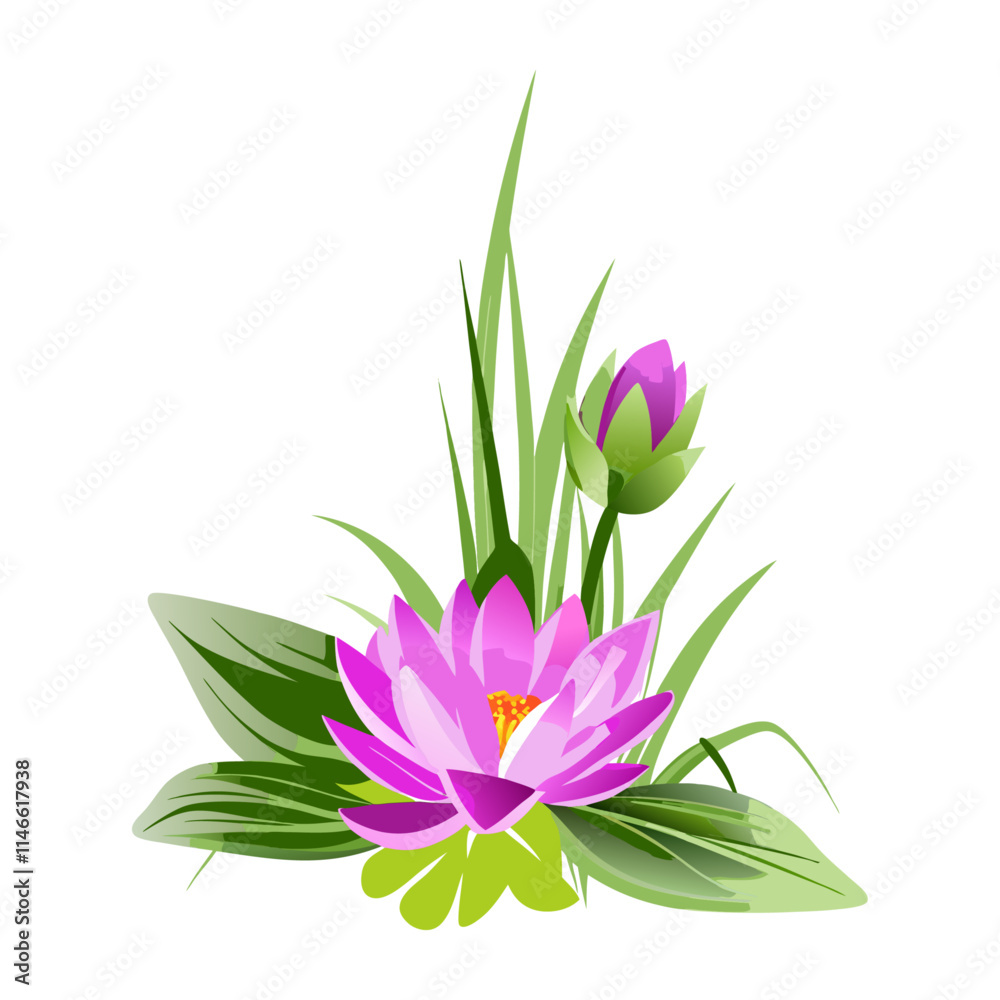 Fototapeta premium pink lotus flower