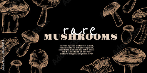 Background Mushrooms hand drawn. Sketch style mushroom. Vector ink illustration.