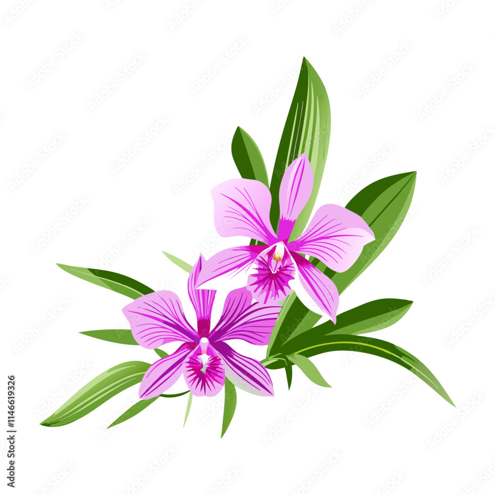 bouquet of flowers isolated bouquet of flowers isolated