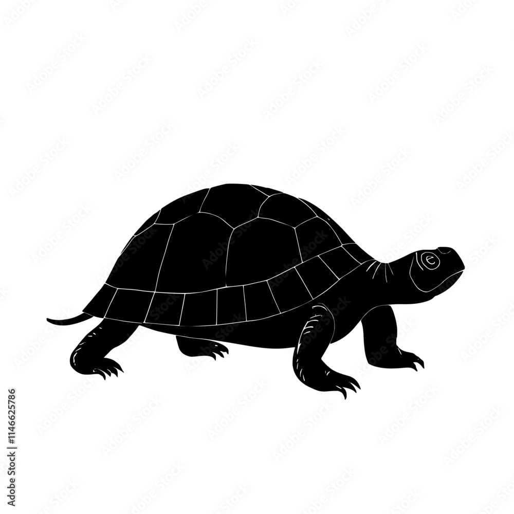 Fototapeta premium Black Turtle Silhouette on White Background