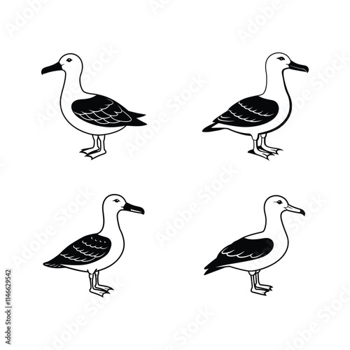 Albatross Bird Silhouette Vector Illustration photo