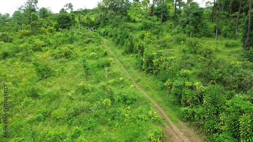 drone view of motorbike rider in the middle of green forest.