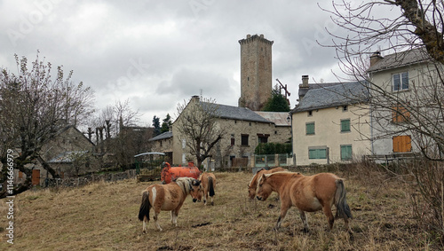 Site médiéval d'Apcher à Prunières en France photo