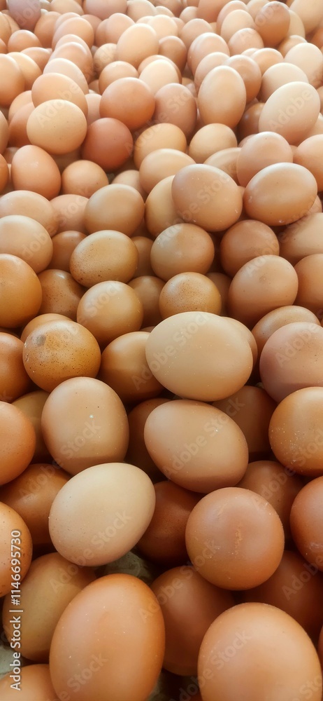 Fresh brown eggs collected in large quantities at a farm during daytime Fresh brown eggs collected in large quantities at a farm during daytime