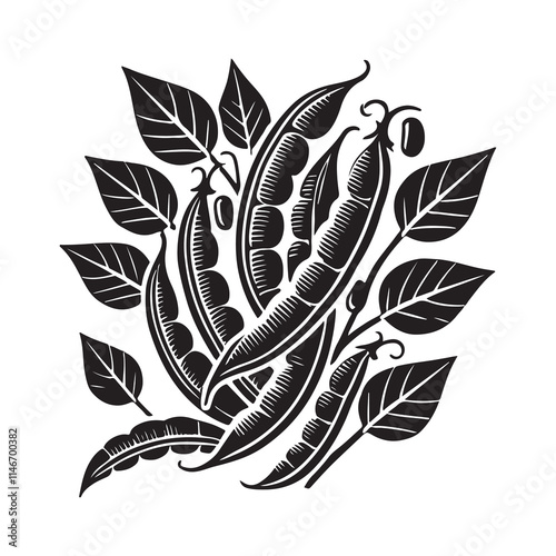Green Beans Silhouette Vector Illustration, Solid White Background.