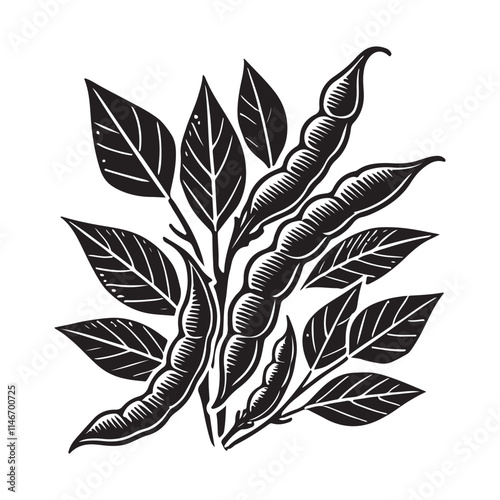 Green Beans Silhouette Vector Illustration, Solid White Background.