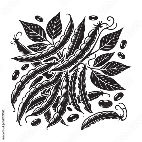 Green Beans Silhouette Vector Illustration, Solid White Background.