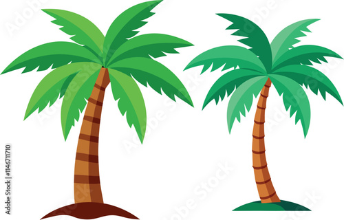  palm tree vector illustration