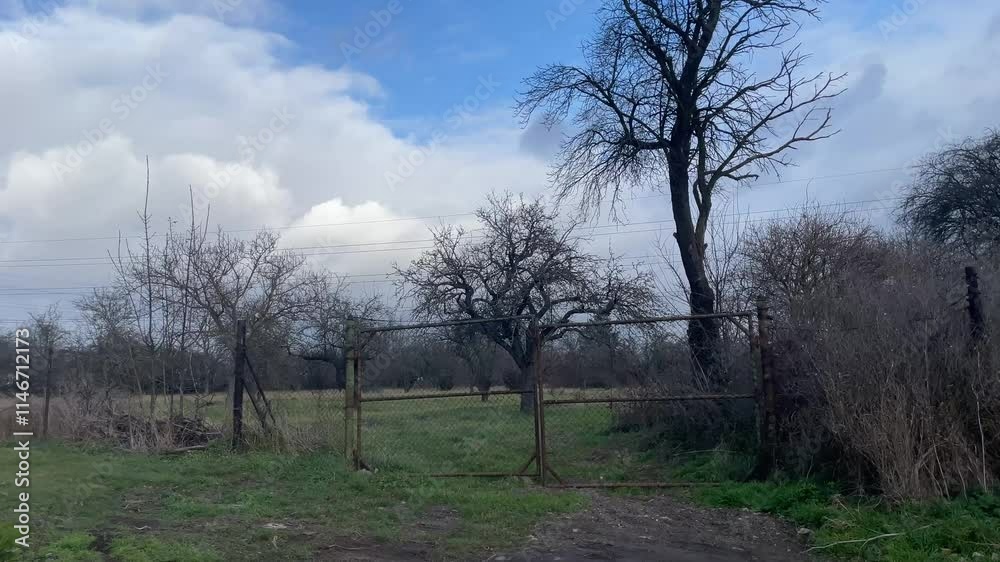 Gate to the apple orchard in autumn, spring or winter. Open field setting featuring trees, a metal fence, and a moody overcast sky that adds to the serene atmosphere Gate to the apple orchard in autumn, spring or winter. Open field setting featuring trees, a metal fence, and a moody overcast sky that adds to the serene atmosphere