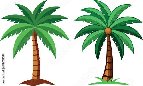 palm tree illustration