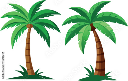 palm tree illustration