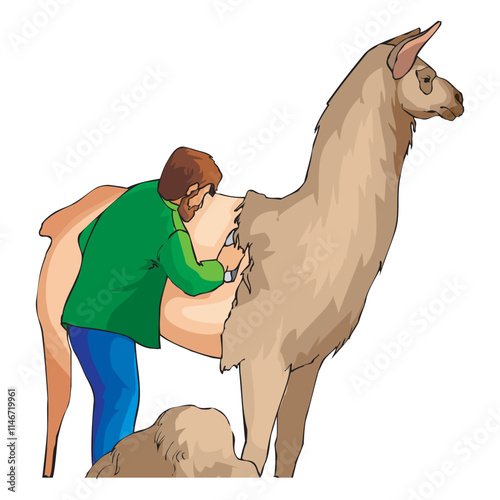 Cartoon character of farmer shearing Llama vector design