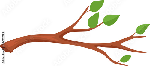 Simple vector illustration of a brown tree branch with green leaves growing, isolated on a white background, perfect for educational or nature themed projects