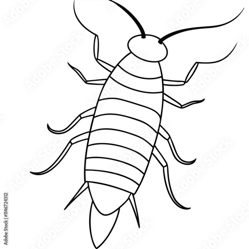 Silverfish insect flat vector illustration on white background