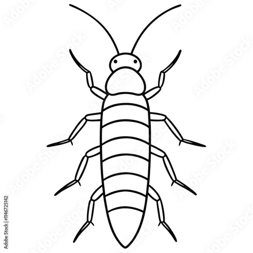 Silverfish insect flat vector illustration on white background