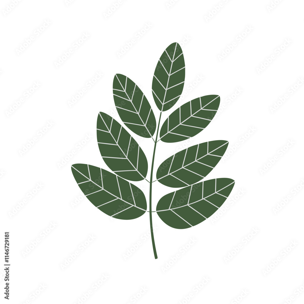 Naklejka premium Green Leaf Vector Illustration Botanical Nature Design