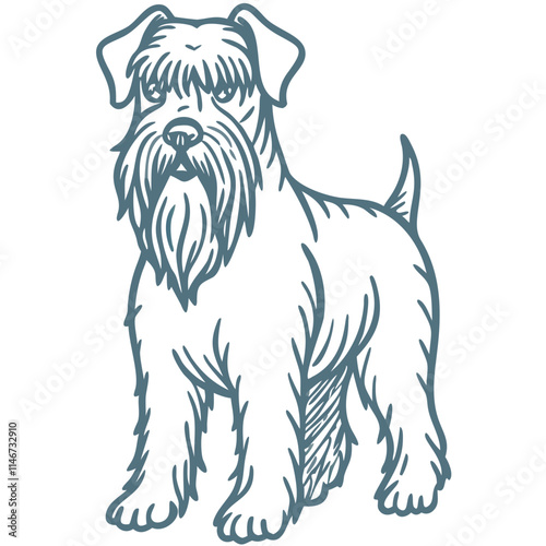  Schnauzer Dog Vector Illustration for Pet and Breed Design Projects