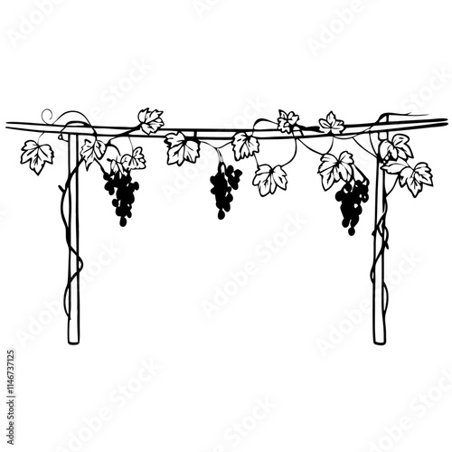  Grape Vine Pergola Silhouette Vector for Garden and Vineyard Designs
