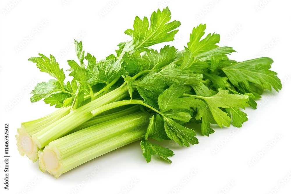 A fresh stalk of celery with crisp green leaves, isolated on white A fresh stalk of celery with crisp green leaves, isolated on white