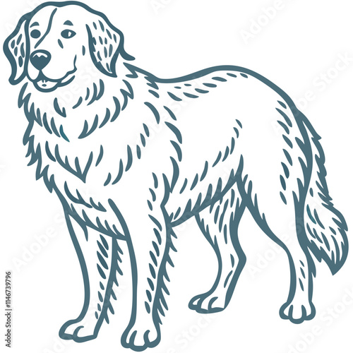  Detailed Vector Illustration of a Fluffy Dog in Profile View