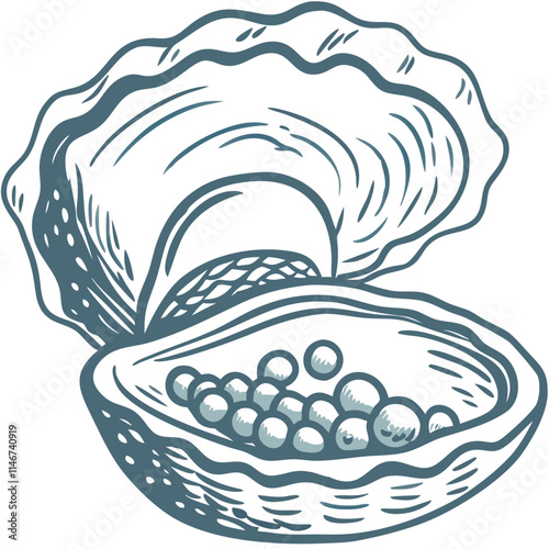  Vector Illustration of Opened Seashell with Pearls Marine Themed Decorative Art