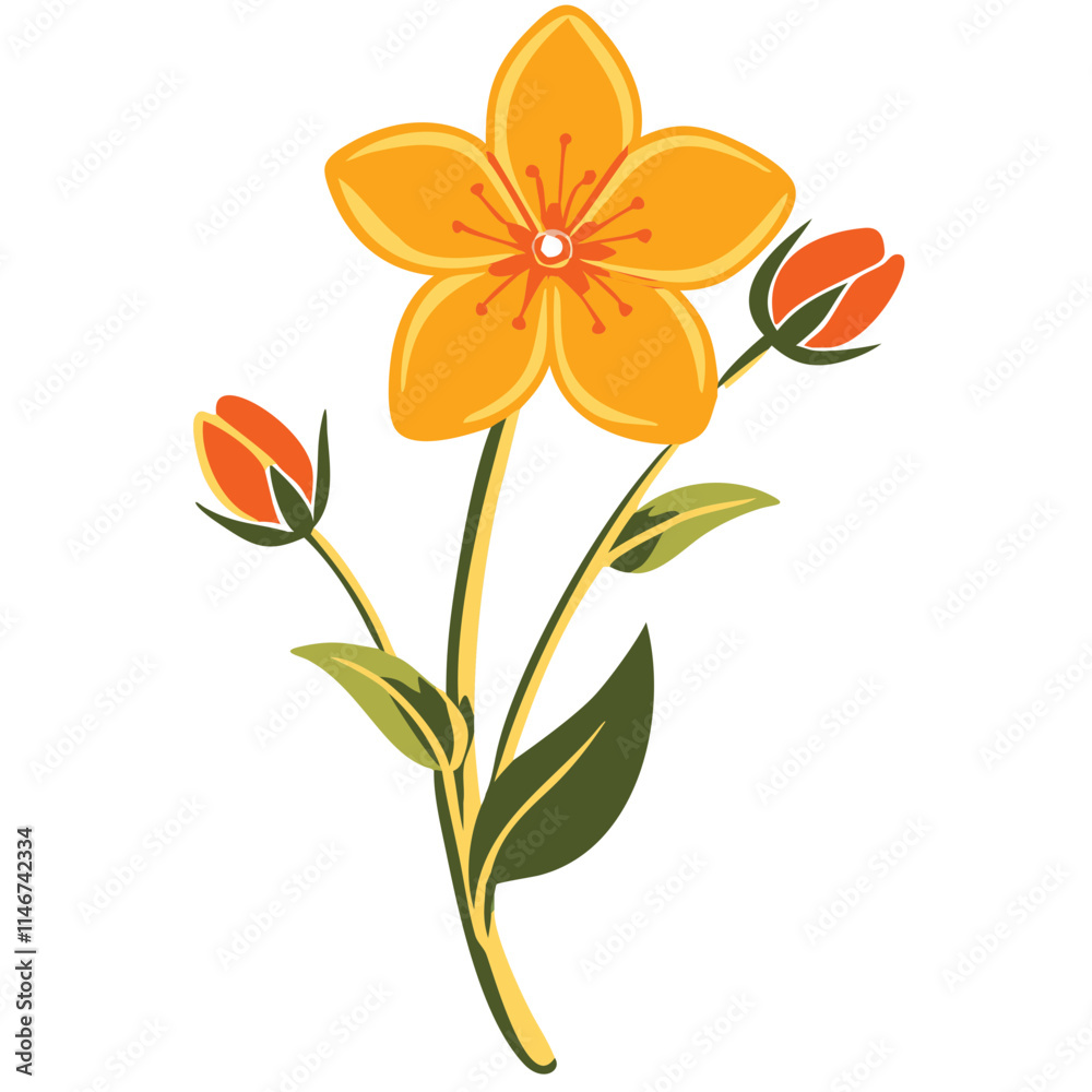 Fototapeta premium Bright Yellow Flower with Buds Botanical Vector Illustration