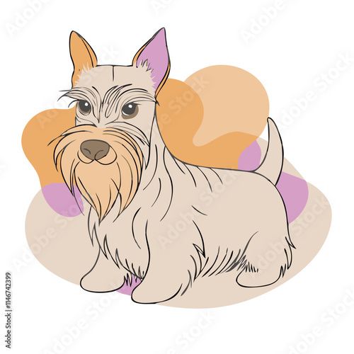  Cute Scottish Terrier Illustration on Colorful Abstract Background