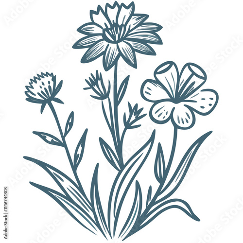  Hand Drawn Botanical Illustration of Wildflowers in Blue Vector Art