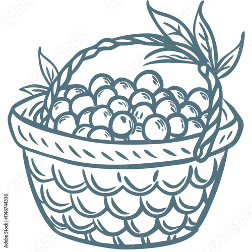  Hand Drawn Berry Basket Illustration for Organic Food Design and Decoration