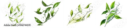 The green tea leaves are surrounded by splashes of liquid, forming an invigorating herbal water wave. The modern, refreshing flow of this organic beverage is depicted in a 3D realistic manner with photo